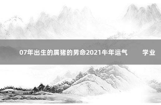 07年出生的属猪的男命2021牛年运气 　　学业发展很好