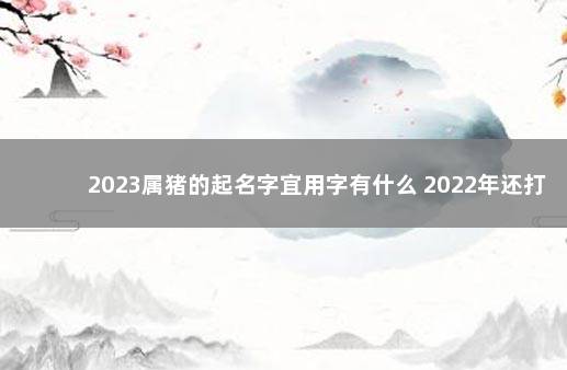 2023属猪的起名字宜用字有什么 2022年还打不打疫苗