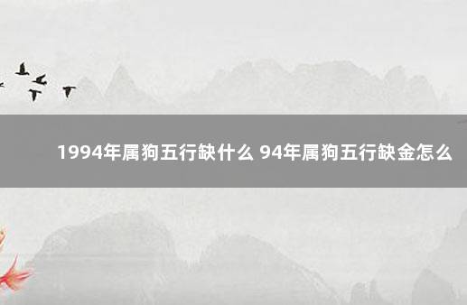1994年属狗五行缺什么 94年属狗五行缺金怎么办