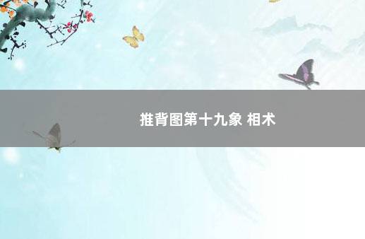 推背图第十九象 相术