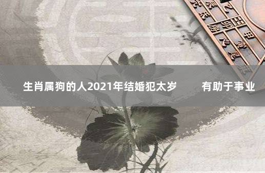 生肖属狗的人2021年结婚犯太岁 　　有助于事业发展