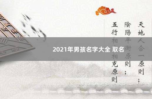 2021年男孩名字大全 取名