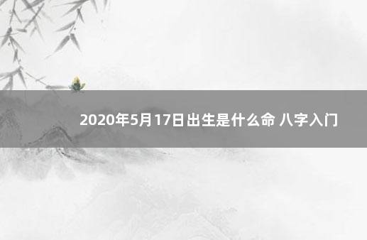 2020年5月17日出生是什么命 八字入门