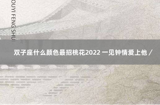 双子座什么颜色最招桃花2022 一见钟情爱上他／她