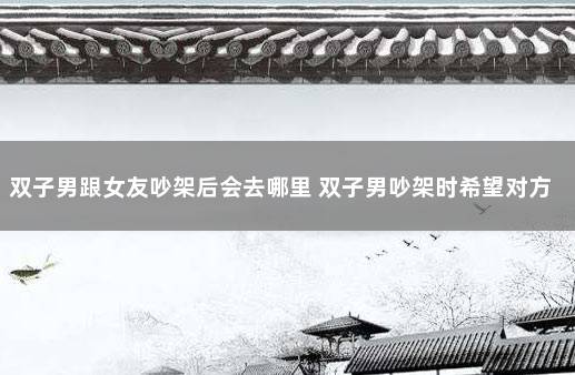 双子男跟女友吵架后会去哪里 双子男吵架时希望对方主动吗