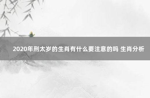 2020年刑太岁的生肖有什么要注意的吗 生肖分析