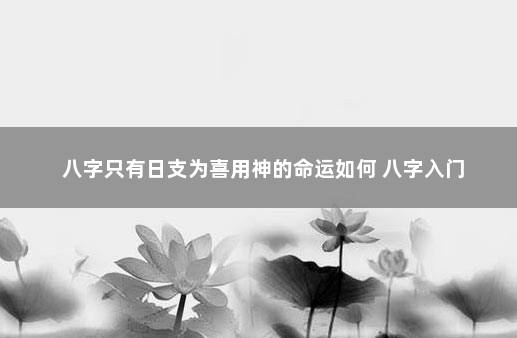 八字只有日支为喜用神的命运如何 八字入门