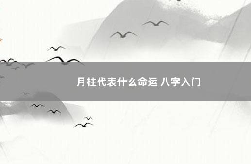 月柱代表什么命运 八字入门