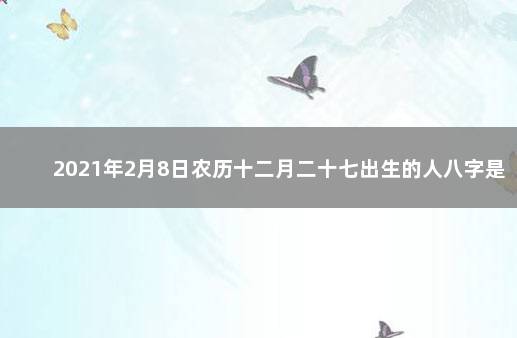 2021年2月8日农历十二月二十七出生的人八字是什么 2021年农历七月二十八出生的男孩