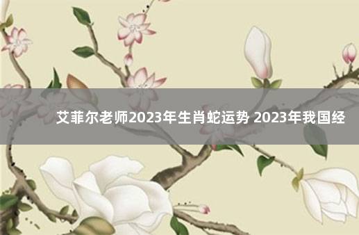 艾菲尔老师2023年生肖蛇运势 2023年我国经济会不会好转