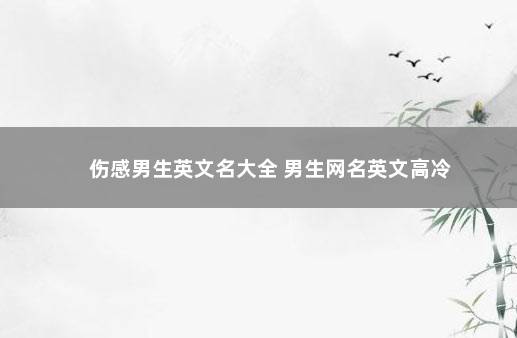 伤感男生英文名大全 男生网名英文高冷