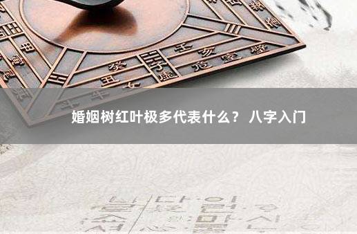 婚姻树红叶极多代表什么？ 八字入门