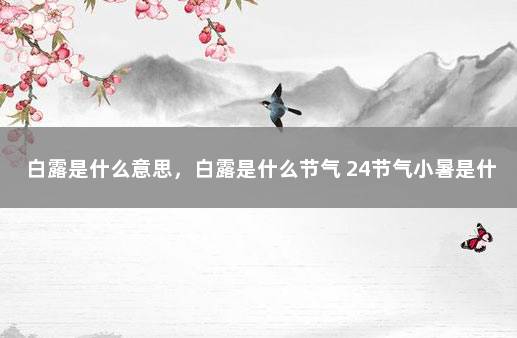 白露是什么意思，白露是什么节气 24节气小暑是什么意思