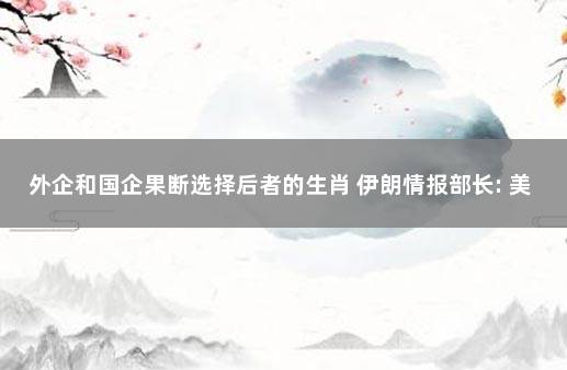 外企和国企果断选择后者的生肖 伊朗情报部长: 美国将欧洲挟为人质