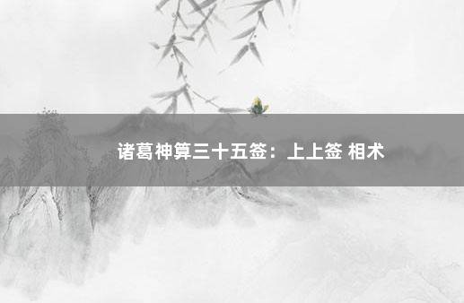 诸葛神算三十五签：上上签 相术