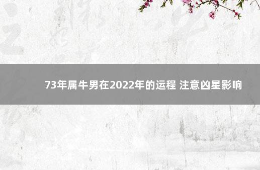 73年属牛男在2022年的运程 注意凶星影响