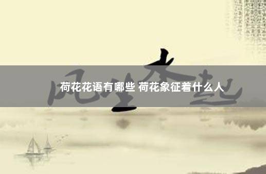 荷花花语有哪些 荷花象征着什么人