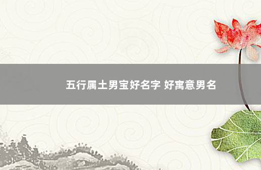 五行属土男宝好名字 好寓意男名