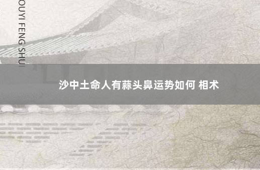 沙中土命人有蒜头鼻运势如何 相术
