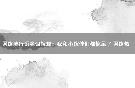 网络流行语名词解释：我和小伙伴们都惊呆了 网络热门词汇及解释