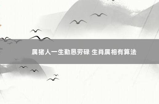 属猪人一生勤恳劳碌 生肖属相有算法