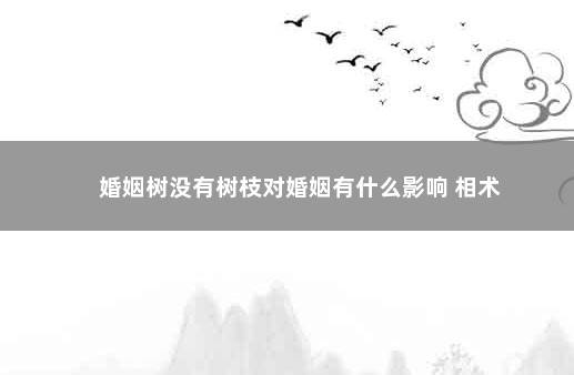 婚姻树没有树枝对婚姻有什么影响 相术