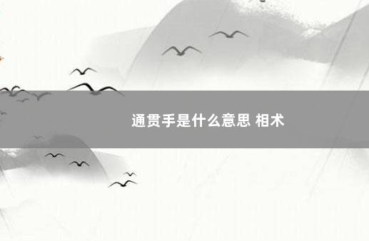 通贯手是什么意思 相术