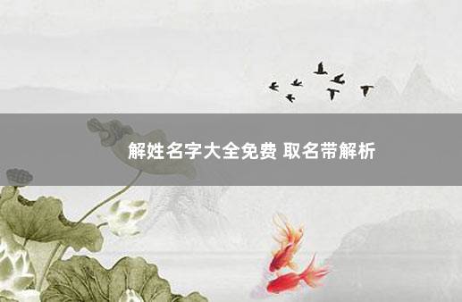 解姓名字大全免费 取名带解析