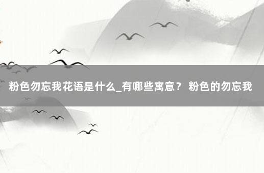 粉色勿忘我花语是什么_有哪些寓意？ 粉色的勿忘我花语