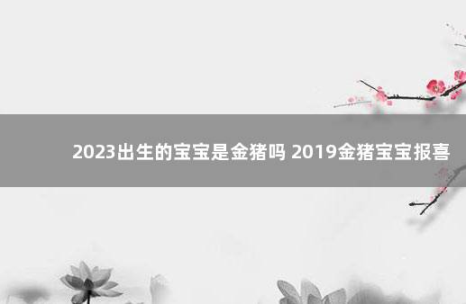 2023出生的宝宝是金猪吗 2019金猪宝宝报喜