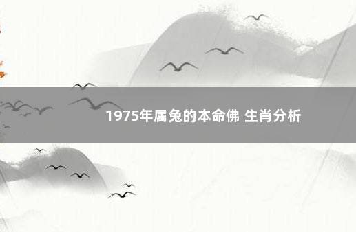 1975年属兔的本命佛 生肖分析