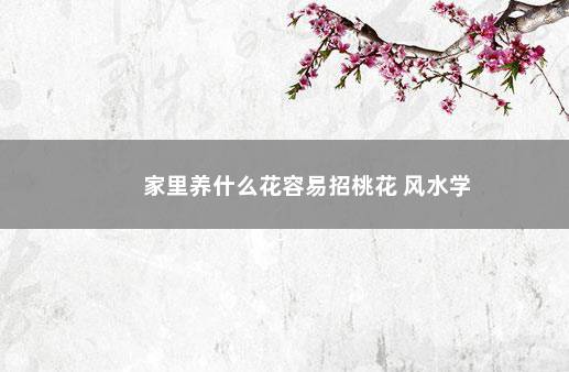 家里养什么花容易招桃花 风水学
