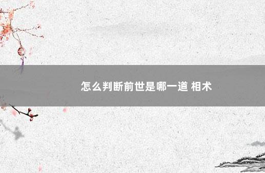 怎么判断前世是哪一道 相术