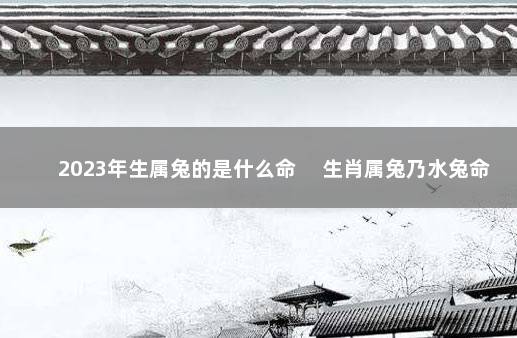 2023年生属兔的是什么命 　生肖属兔乃水兔命