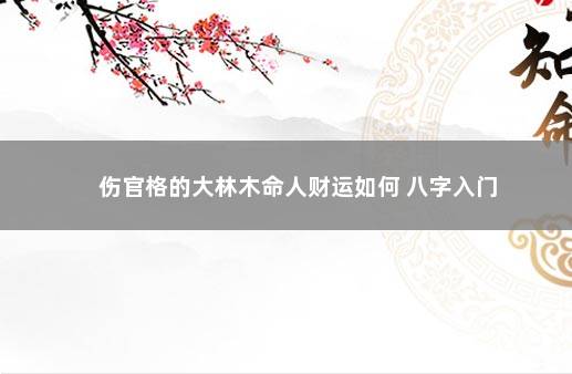 伤官格的大林木命人财运如何 八字入门