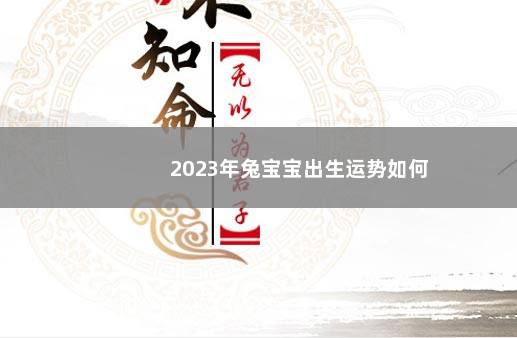 2023年兔宝宝出生运势如何