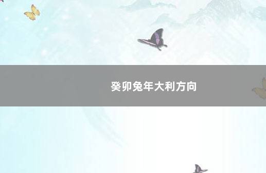 癸卯兔年大利方向