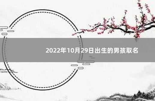 2022年10月29日出生的男孩取名