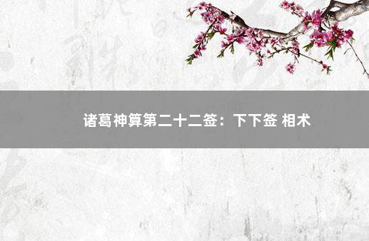 诸葛神算第二十二签：下下签 相术