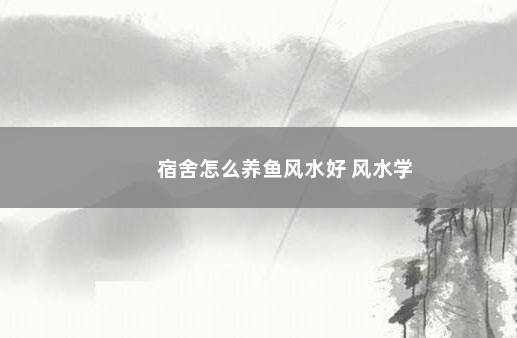 宿舍怎么养鱼风水好 风水学