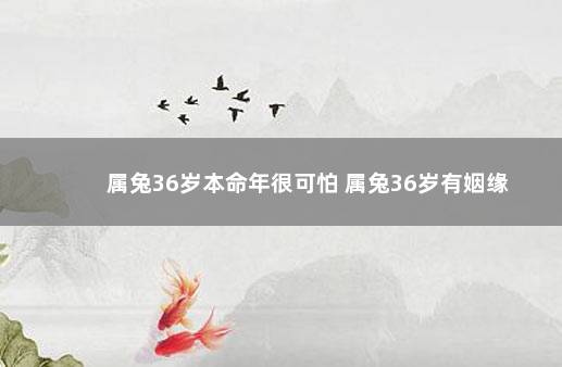 属兔36岁本命年很可怕 属兔36岁有姻缘