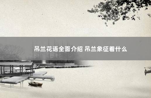 吊兰花语全面介绍 吊兰象征着什么