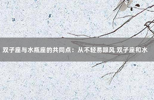 双子座与水瓶座的共同点：从不轻易跟风 双子座和水瓶座是什么关系