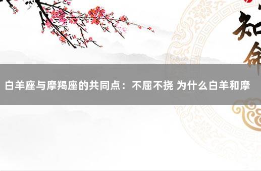 白羊座与摩羯座的共同点：不屈不挠 为什么白羊和摩羯不搭