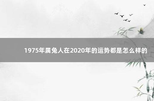 1975年属兔人在2020年的运势都是怎么样的 生肖分析