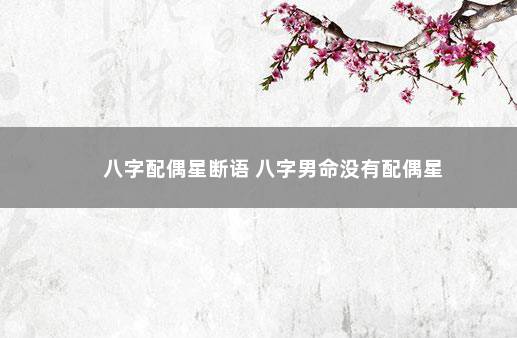 八字配偶星断语 八字男命没有配偶星
