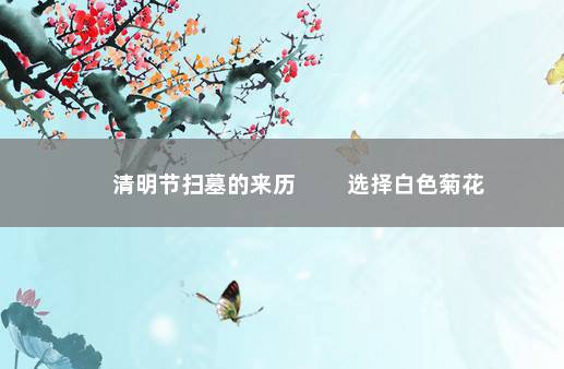 清明节扫墓的来历 　　选择白色菊花