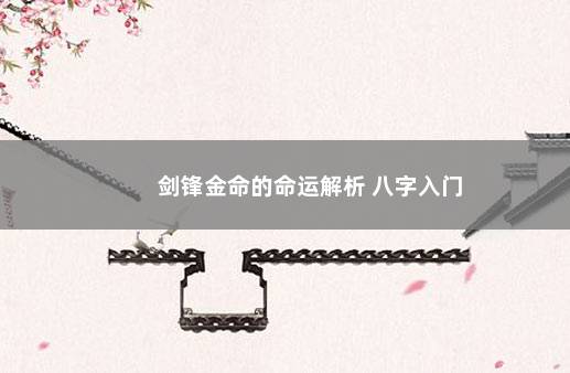 剑锋金命的命运解析 八字入门