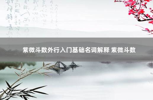 紫微斗数外行入门基础名词解释 紫微斗数