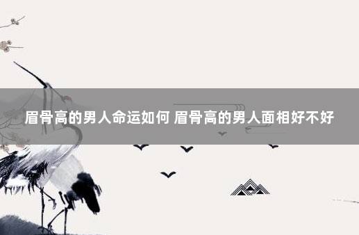 眉骨高的男人命运如何 眉骨高的男人面相好不好